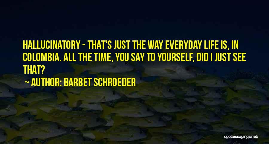 Barbet Schroeder Quotes: Hallucinatory - That's Just The Way Everyday Life Is, In Colombia. All The Time, You Say To Yourself, Did I