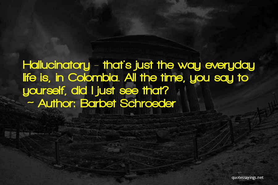 Barbet Schroeder Quotes: Hallucinatory - That's Just The Way Everyday Life Is, In Colombia. All The Time, You Say To Yourself, Did I