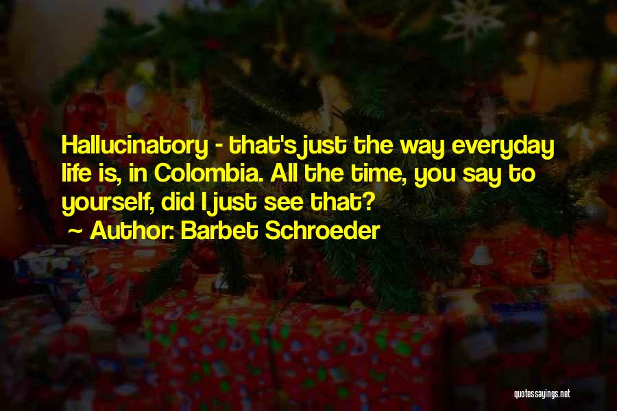 Barbet Schroeder Quotes: Hallucinatory - That's Just The Way Everyday Life Is, In Colombia. All The Time, You Say To Yourself, Did I