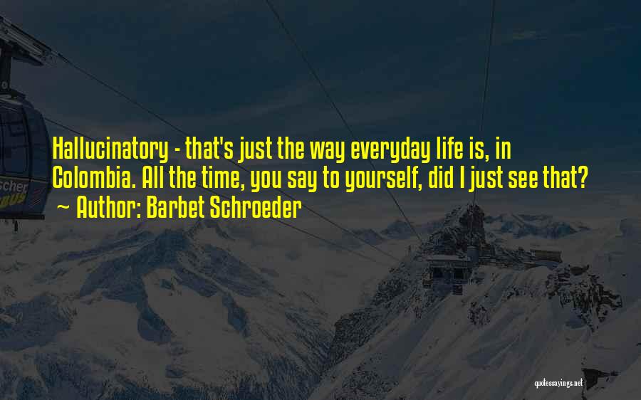 Barbet Schroeder Quotes: Hallucinatory - That's Just The Way Everyday Life Is, In Colombia. All The Time, You Say To Yourself, Did I