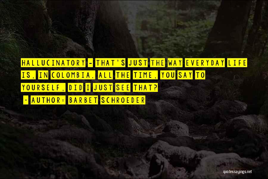 Barbet Schroeder Quotes: Hallucinatory - That's Just The Way Everyday Life Is, In Colombia. All The Time, You Say To Yourself, Did I