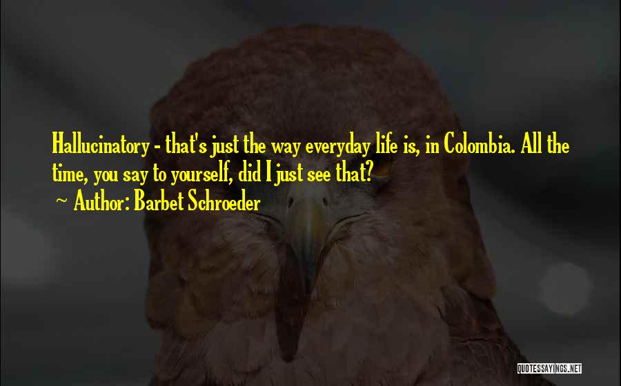 Barbet Schroeder Quotes: Hallucinatory - That's Just The Way Everyday Life Is, In Colombia. All The Time, You Say To Yourself, Did I