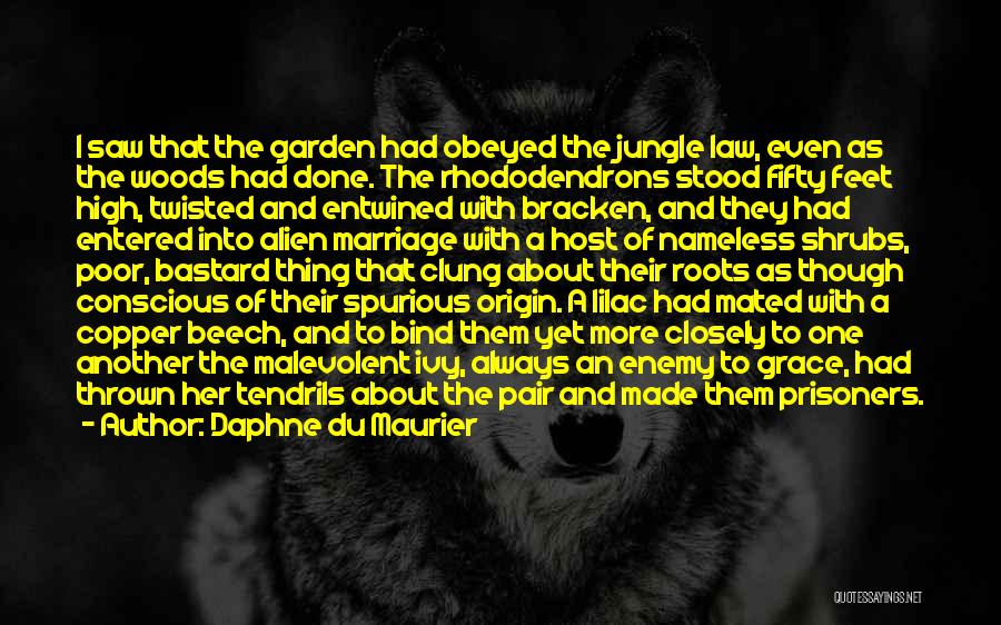 Daphne Du Maurier Quotes: I Saw That The Garden Had Obeyed The Jungle Law, Even As The Woods Had Done. The Rhododendrons Stood Fifty
