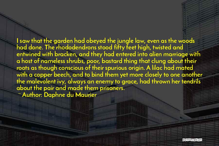 Daphne Du Maurier Quotes: I Saw That The Garden Had Obeyed The Jungle Law, Even As The Woods Had Done. The Rhododendrons Stood Fifty