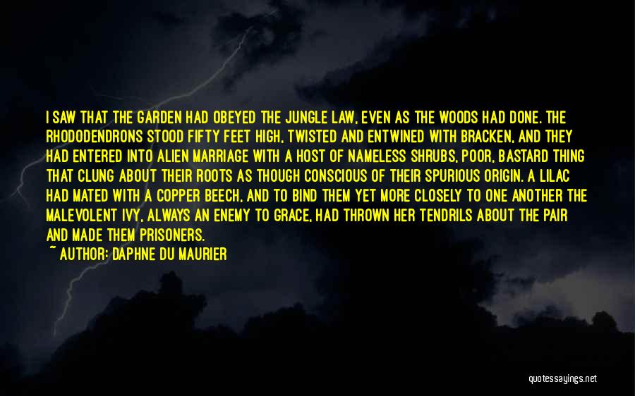 Daphne Du Maurier Quotes: I Saw That The Garden Had Obeyed The Jungle Law, Even As The Woods Had Done. The Rhododendrons Stood Fifty