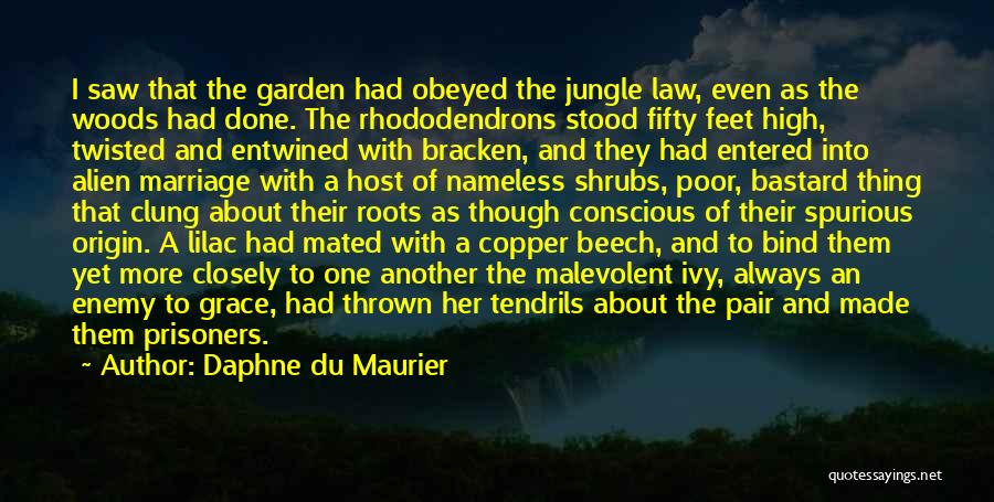 Daphne Du Maurier Quotes: I Saw That The Garden Had Obeyed The Jungle Law, Even As The Woods Had Done. The Rhododendrons Stood Fifty