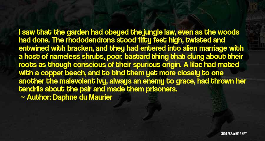 Daphne Du Maurier Quotes: I Saw That The Garden Had Obeyed The Jungle Law, Even As The Woods Had Done. The Rhododendrons Stood Fifty