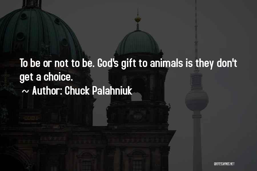 Chuck Palahniuk Quotes: To Be Or Not To Be. God's Gift To Animals Is They Don't Get A Choice.