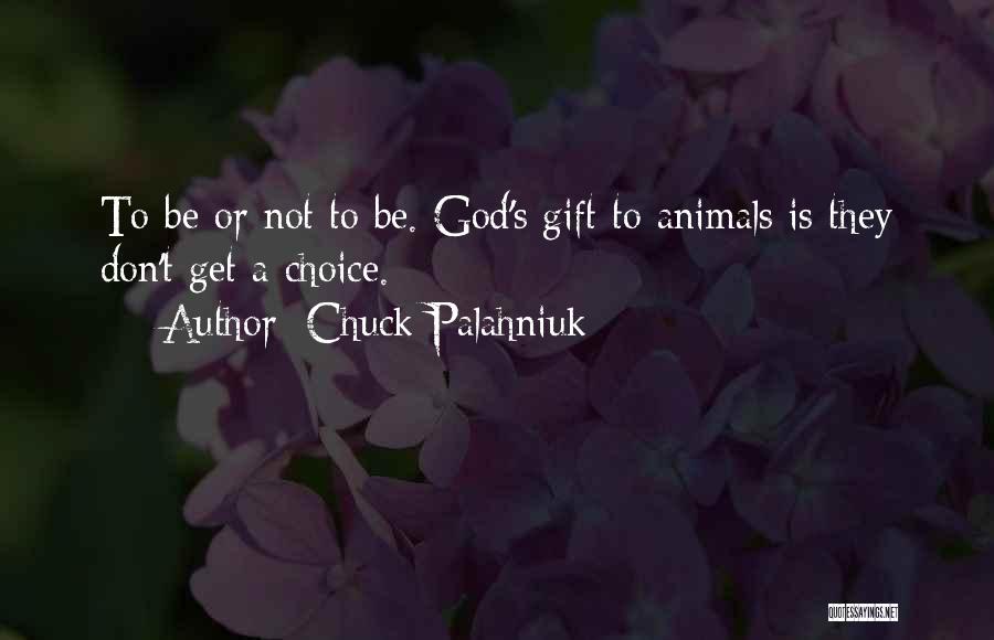 Chuck Palahniuk Quotes: To Be Or Not To Be. God's Gift To Animals Is They Don't Get A Choice.