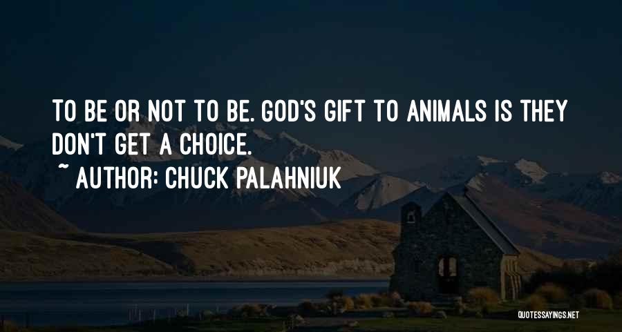 Chuck Palahniuk Quotes: To Be Or Not To Be. God's Gift To Animals Is They Don't Get A Choice.