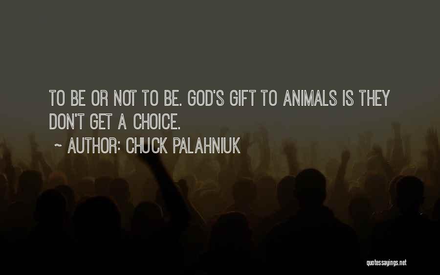 Chuck Palahniuk Quotes: To Be Or Not To Be. God's Gift To Animals Is They Don't Get A Choice.