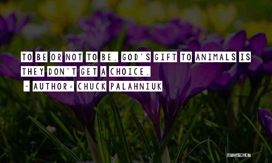 Chuck Palahniuk Quotes: To Be Or Not To Be. God's Gift To Animals Is They Don't Get A Choice.