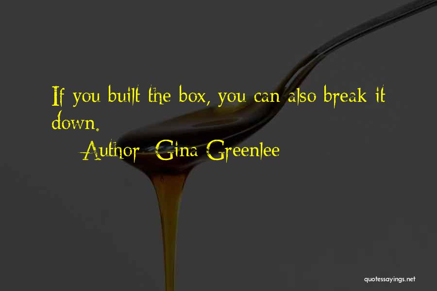 Gina Greenlee Quotes: If You Built The Box, You Can Also Break It Down.