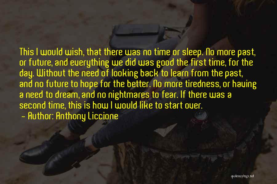 Anthony Liccione Quotes: This I Would Wish, That There Was No Time Or Sleep. No More Past, Or Future, And Everything We Did