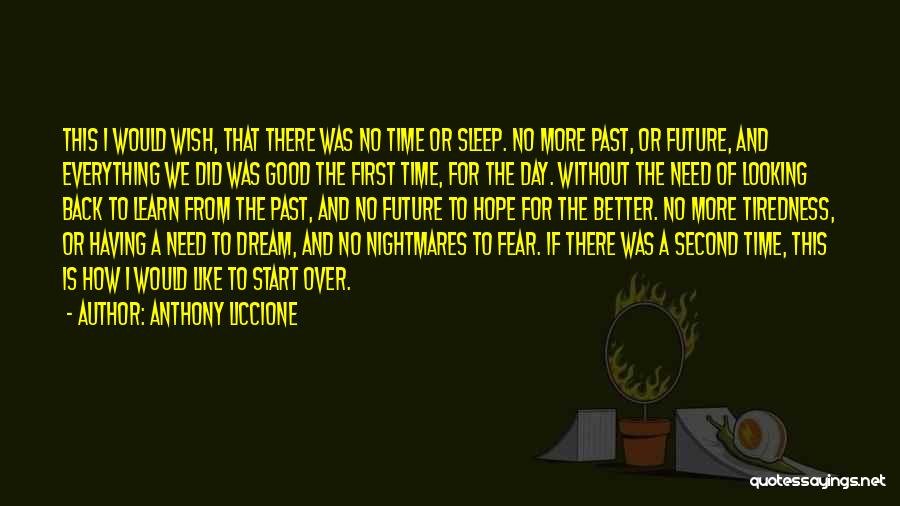 Anthony Liccione Quotes: This I Would Wish, That There Was No Time Or Sleep. No More Past, Or Future, And Everything We Did