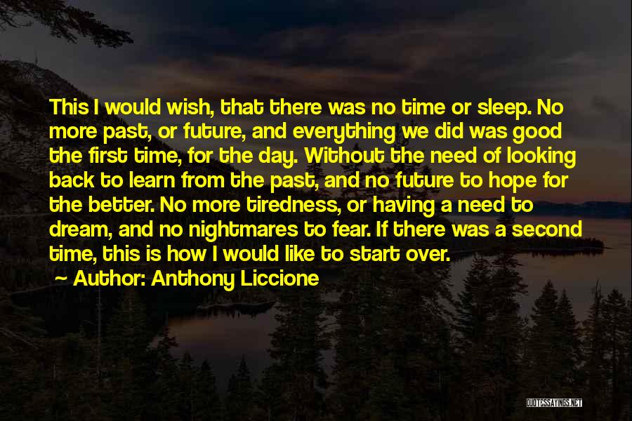 Anthony Liccione Quotes: This I Would Wish, That There Was No Time Or Sleep. No More Past, Or Future, And Everything We Did
