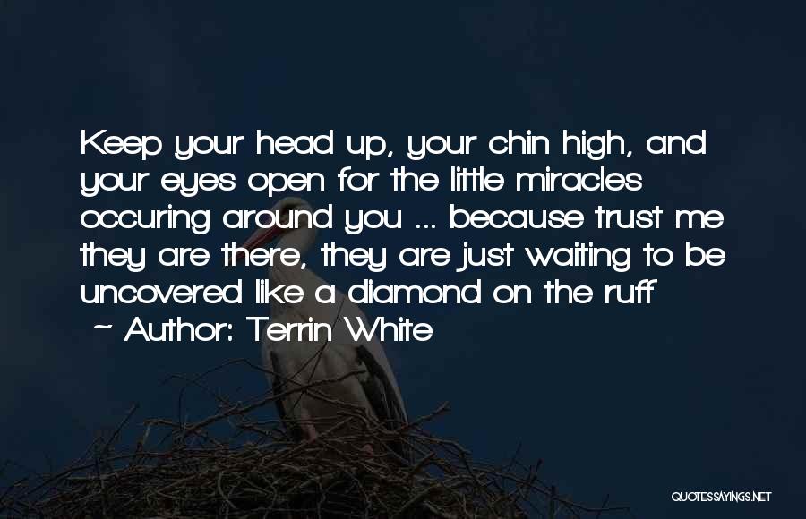 Terrin White Quotes: Keep Your Head Up, Your Chin High, And Your Eyes Open For The Little Miracles Occuring Around You ... Because