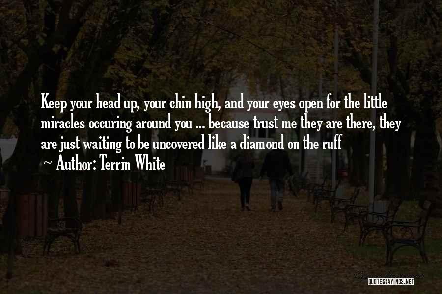 Terrin White Quotes: Keep Your Head Up, Your Chin High, And Your Eyes Open For The Little Miracles Occuring Around You ... Because