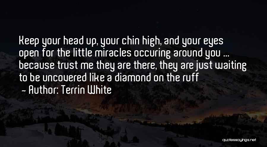 Terrin White Quotes: Keep Your Head Up, Your Chin High, And Your Eyes Open For The Little Miracles Occuring Around You ... Because