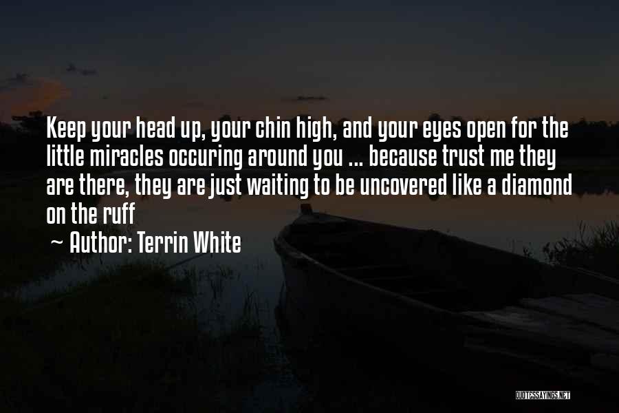 Terrin White Quotes: Keep Your Head Up, Your Chin High, And Your Eyes Open For The Little Miracles Occuring Around You ... Because