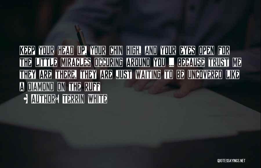 Terrin White Quotes: Keep Your Head Up, Your Chin High, And Your Eyes Open For The Little Miracles Occuring Around You ... Because