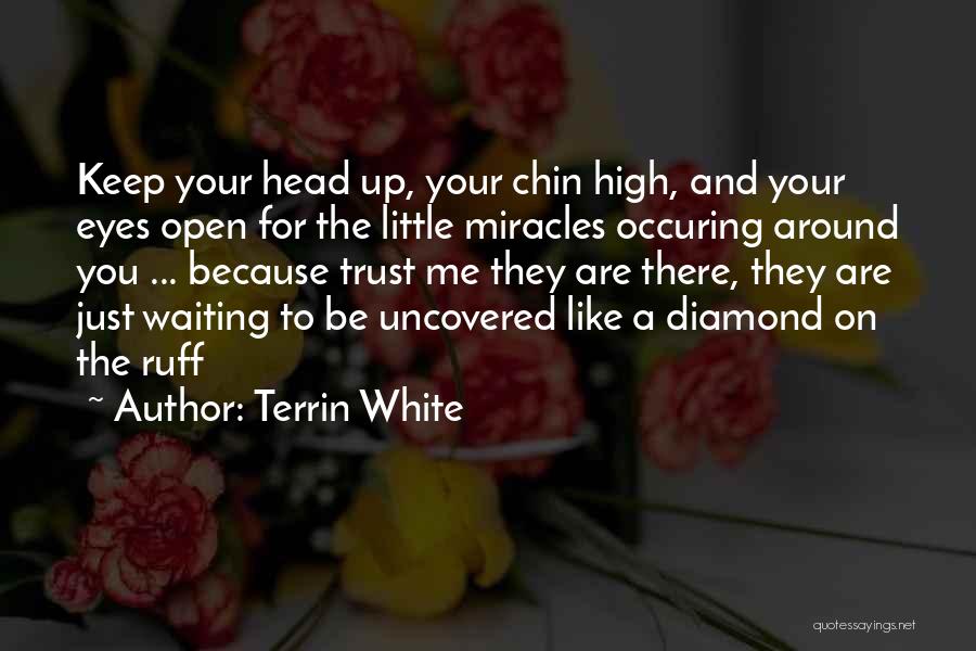 Terrin White Quotes: Keep Your Head Up, Your Chin High, And Your Eyes Open For The Little Miracles Occuring Around You ... Because