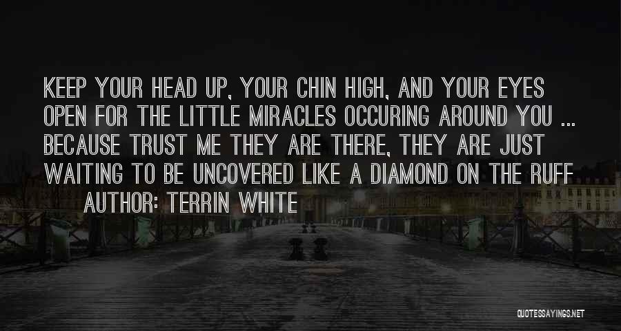 Terrin White Quotes: Keep Your Head Up, Your Chin High, And Your Eyes Open For The Little Miracles Occuring Around You ... Because