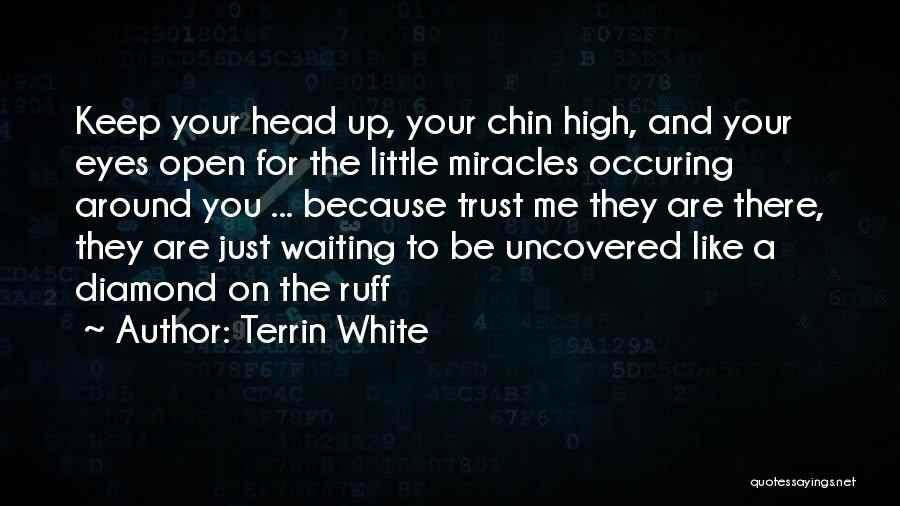 Terrin White Quotes: Keep Your Head Up, Your Chin High, And Your Eyes Open For The Little Miracles Occuring Around You ... Because