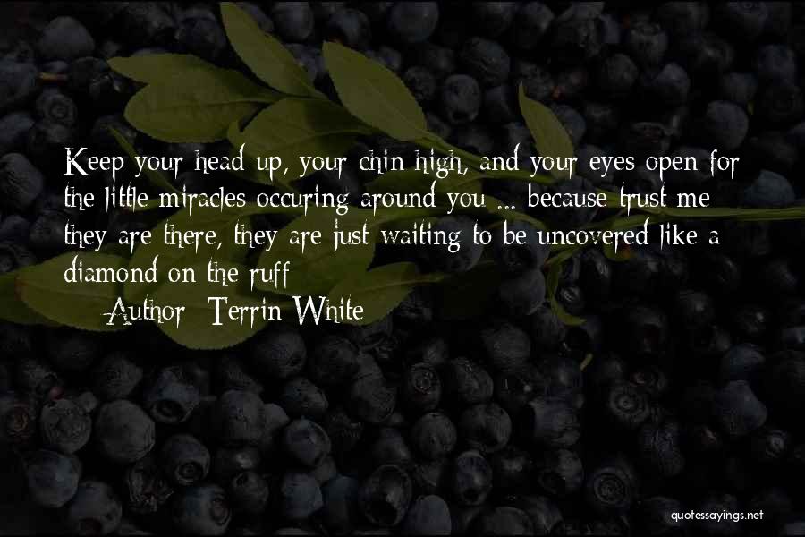 Terrin White Quotes: Keep Your Head Up, Your Chin High, And Your Eyes Open For The Little Miracles Occuring Around You ... Because