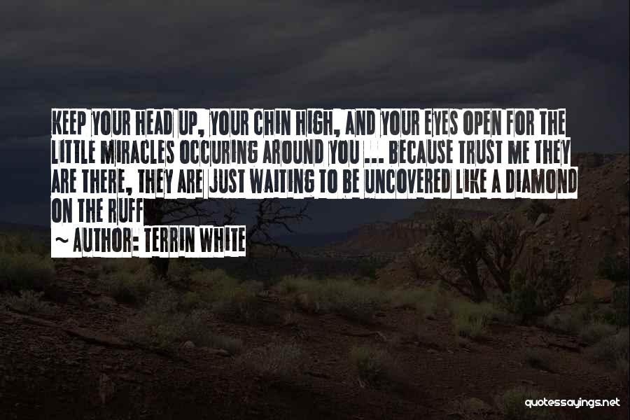 Terrin White Quotes: Keep Your Head Up, Your Chin High, And Your Eyes Open For The Little Miracles Occuring Around You ... Because