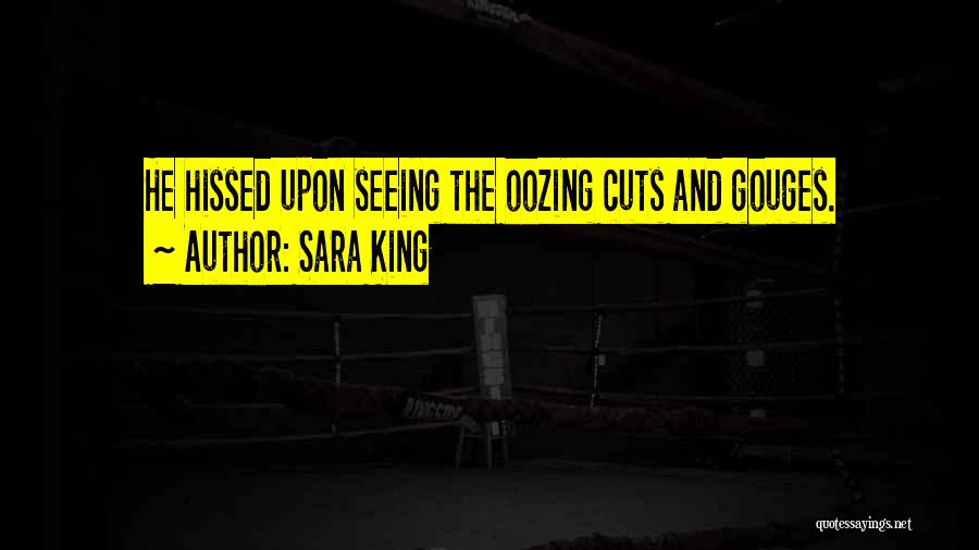 Sara King Quotes: He Hissed Upon Seeing The Oozing Cuts And Gouges.
