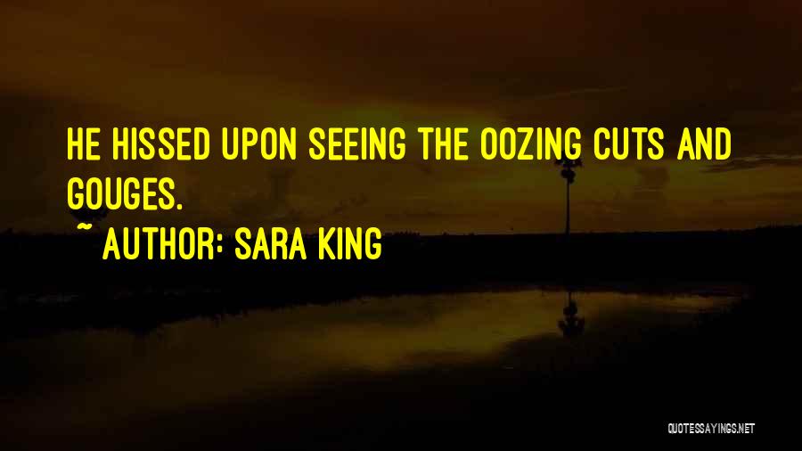 Sara King Quotes: He Hissed Upon Seeing The Oozing Cuts And Gouges.