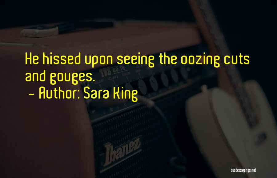 Sara King Quotes: He Hissed Upon Seeing The Oozing Cuts And Gouges.