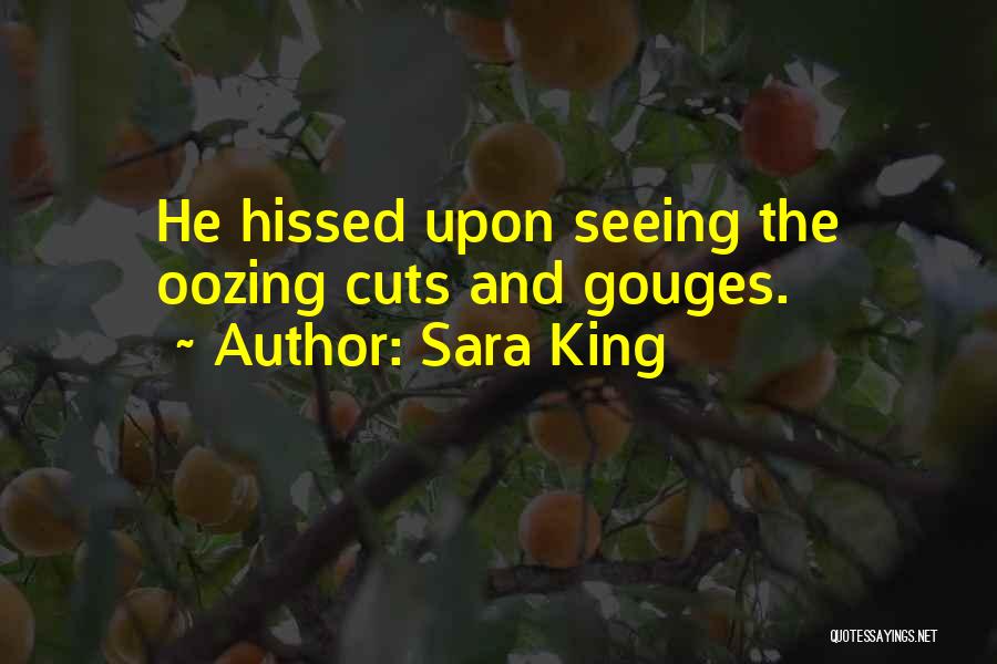 Sara King Quotes: He Hissed Upon Seeing The Oozing Cuts And Gouges.