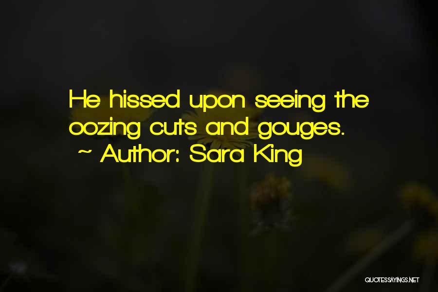 Sara King Quotes: He Hissed Upon Seeing The Oozing Cuts And Gouges.