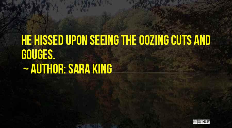 Sara King Quotes: He Hissed Upon Seeing The Oozing Cuts And Gouges.