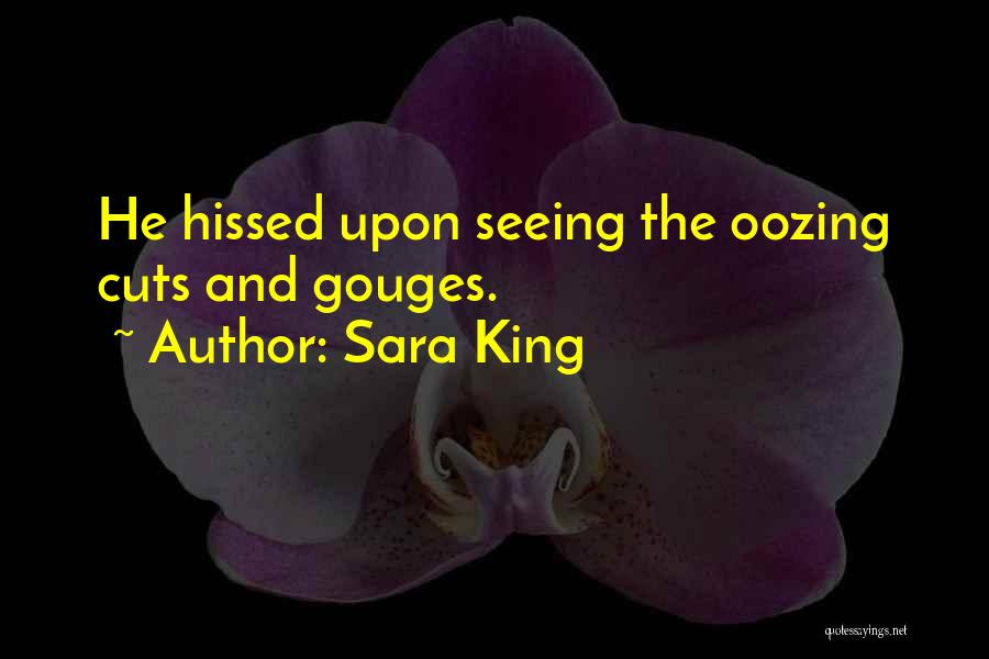 Sara King Quotes: He Hissed Upon Seeing The Oozing Cuts And Gouges.