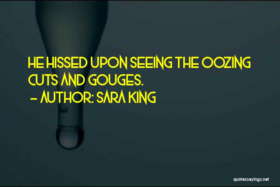 Sara King Quotes: He Hissed Upon Seeing The Oozing Cuts And Gouges.