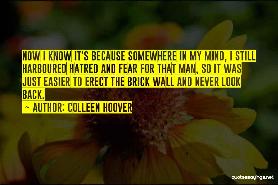 Colleen Hoover Quotes: Now I Know It's Because Somewhere In My Mind, I Still Harboured Hatred And Fear For That Man, So It