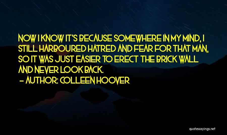 Colleen Hoover Quotes: Now I Know It's Because Somewhere In My Mind, I Still Harboured Hatred And Fear For That Man, So It