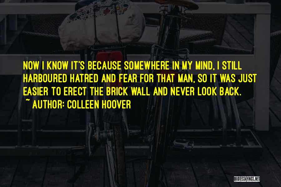 Colleen Hoover Quotes: Now I Know It's Because Somewhere In My Mind, I Still Harboured Hatred And Fear For That Man, So It