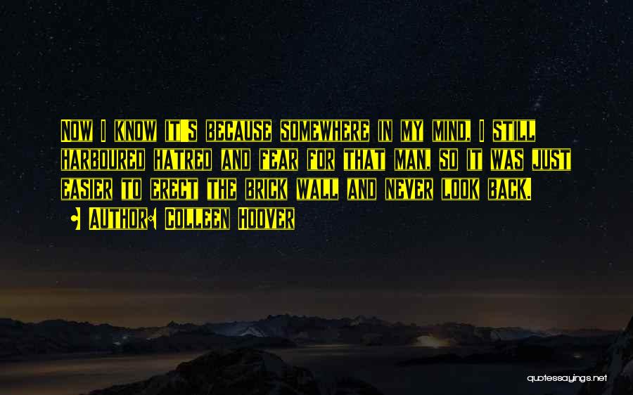 Colleen Hoover Quotes: Now I Know It's Because Somewhere In My Mind, I Still Harboured Hatred And Fear For That Man, So It