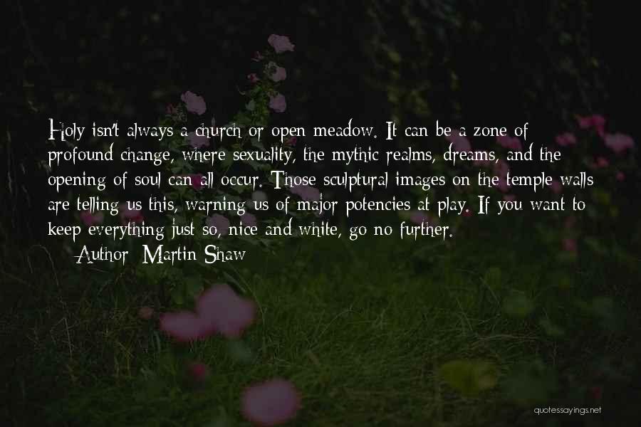 Martin Shaw Quotes: Holy Isn't Always A Church Or Open Meadow. It Can Be A Zone Of Profound Change, Where Sexuality, The Mythic