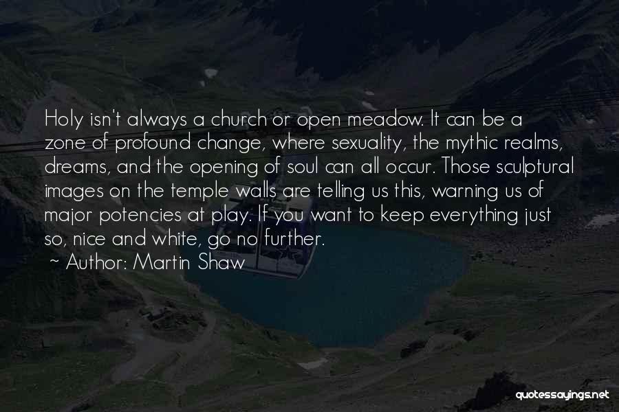 Martin Shaw Quotes: Holy Isn't Always A Church Or Open Meadow. It Can Be A Zone Of Profound Change, Where Sexuality, The Mythic