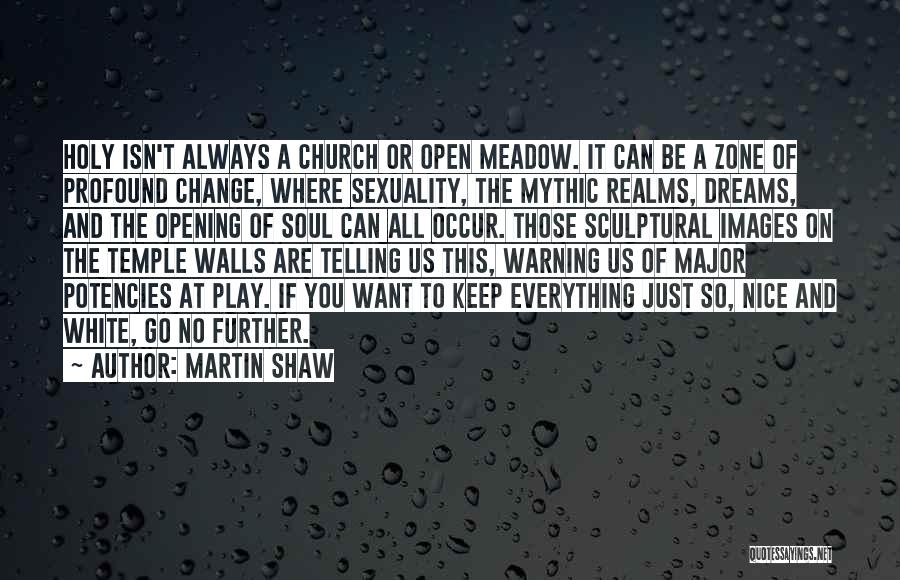 Martin Shaw Quotes: Holy Isn't Always A Church Or Open Meadow. It Can Be A Zone Of Profound Change, Where Sexuality, The Mythic