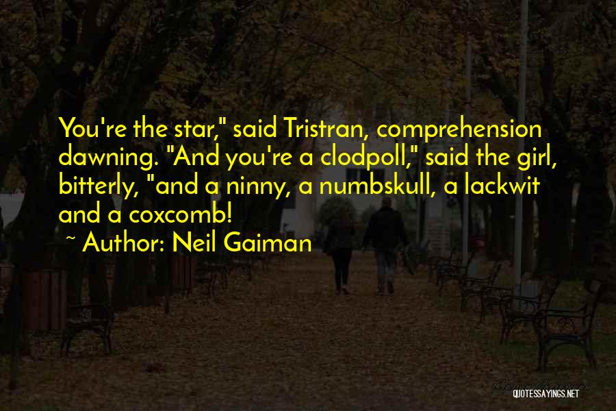 Neil Gaiman Quotes: You're The Star, Said Tristran, Comprehension Dawning. And You're A Clodpoll, Said The Girl, Bitterly, And A Ninny, A Numbskull,