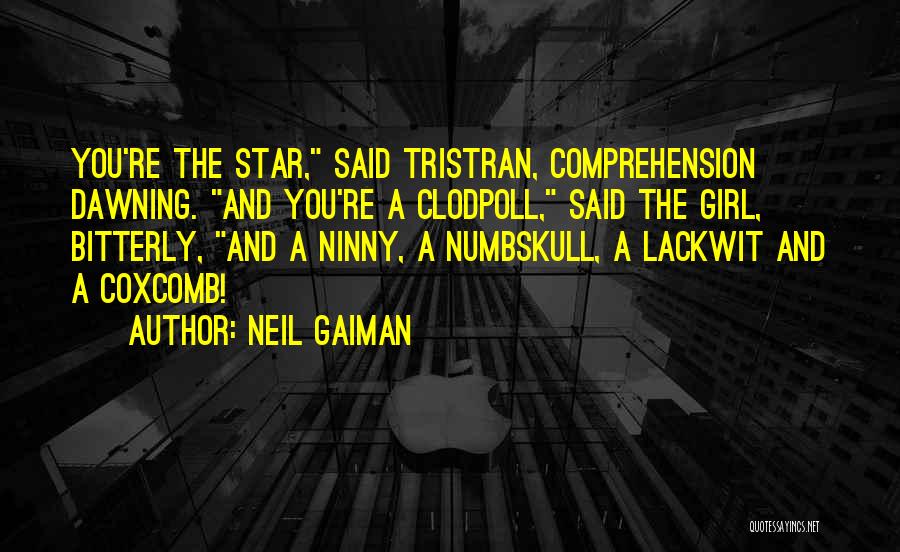 Neil Gaiman Quotes: You're The Star, Said Tristran, Comprehension Dawning. And You're A Clodpoll, Said The Girl, Bitterly, And A Ninny, A Numbskull,