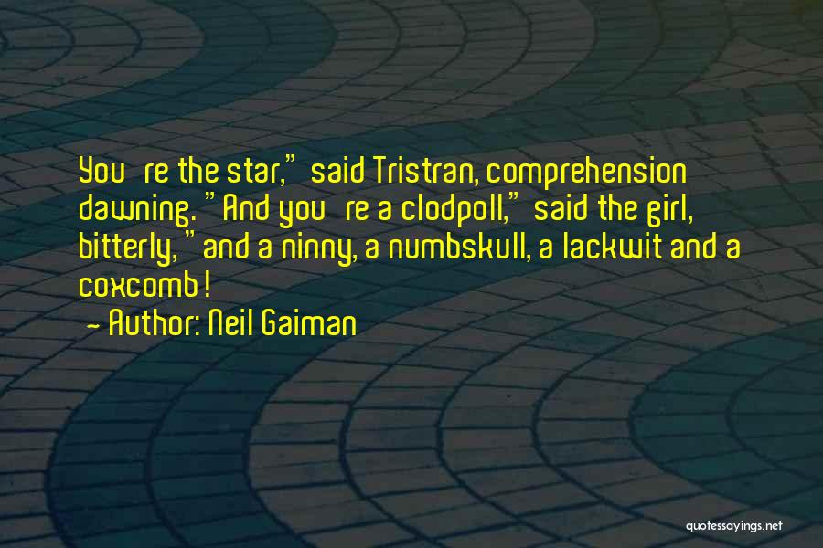 Neil Gaiman Quotes: You're The Star, Said Tristran, Comprehension Dawning. And You're A Clodpoll, Said The Girl, Bitterly, And A Ninny, A Numbskull,