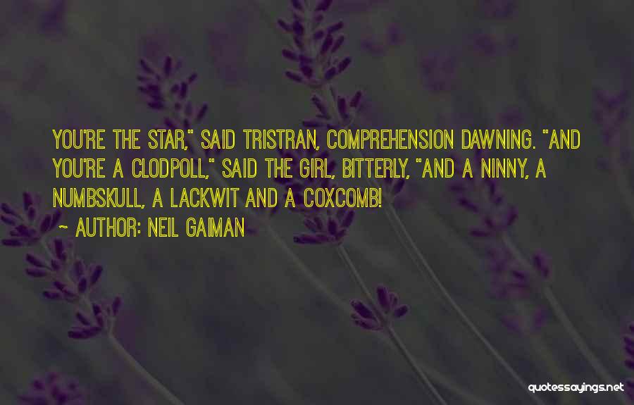 Neil Gaiman Quotes: You're The Star, Said Tristran, Comprehension Dawning. And You're A Clodpoll, Said The Girl, Bitterly, And A Ninny, A Numbskull,
