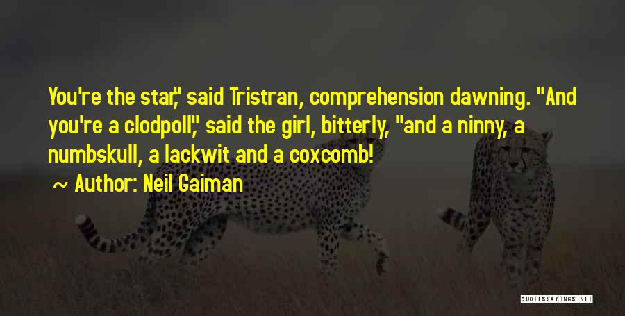 Neil Gaiman Quotes: You're The Star, Said Tristran, Comprehension Dawning. And You're A Clodpoll, Said The Girl, Bitterly, And A Ninny, A Numbskull,